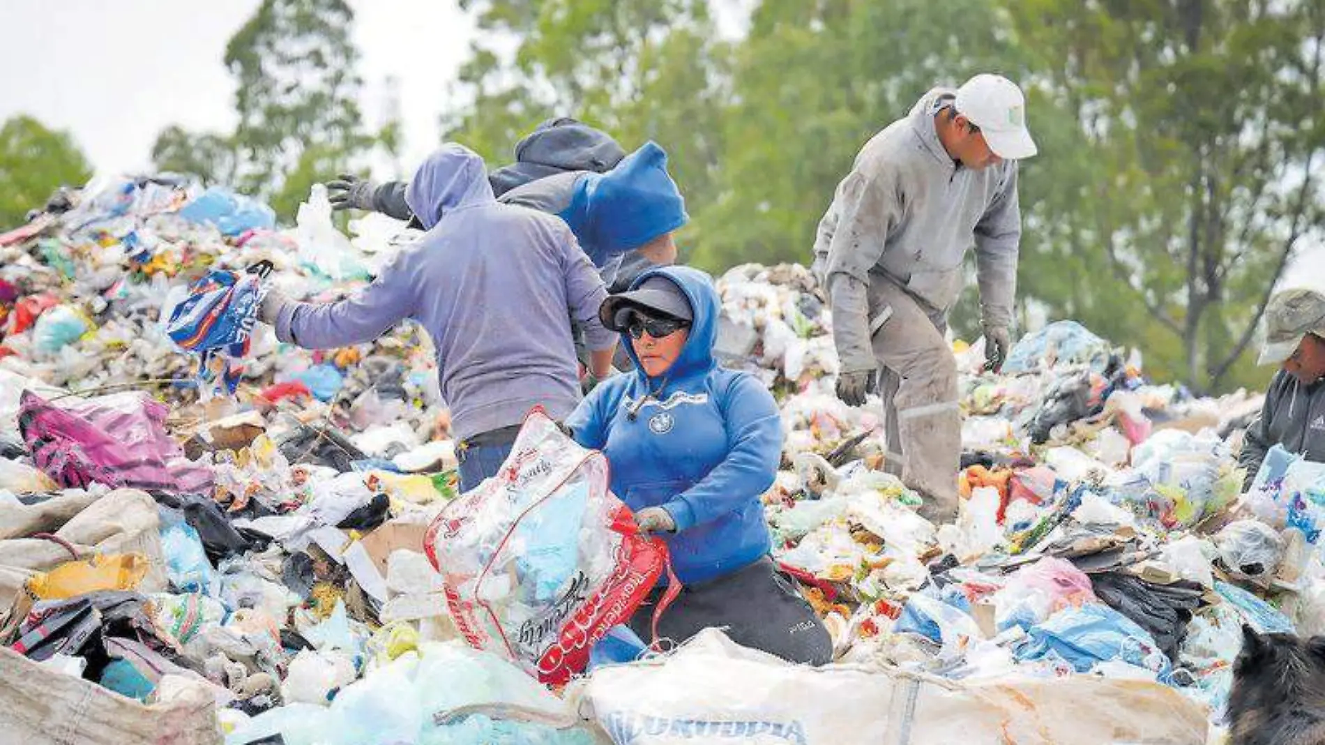 Basura, reciclaje